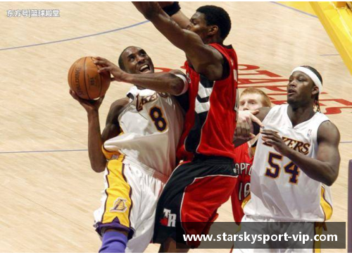 NBA赛季精彩回顾：历史巅峰时刻与未来的挑战